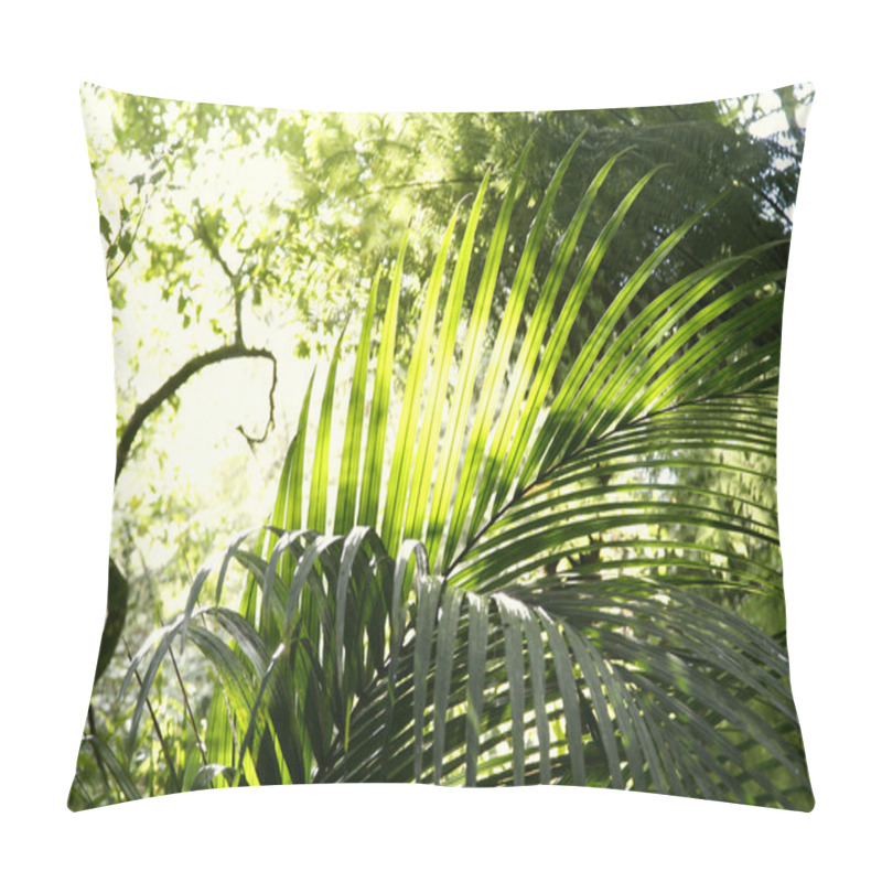 Personality  Tropical Forest Pillow Covers