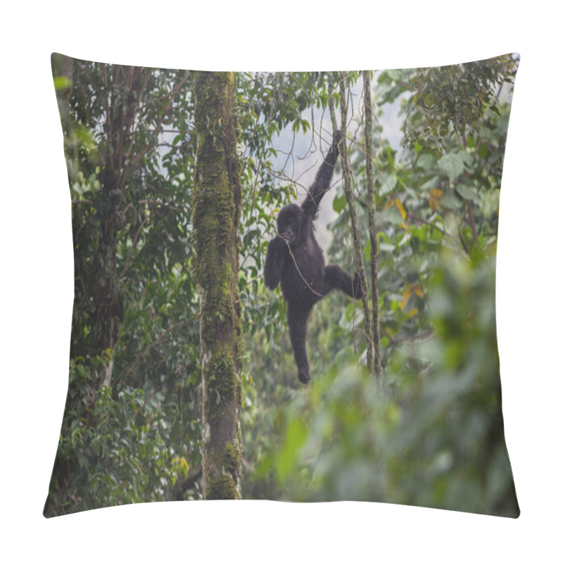 Personality  Baby Gorilla In Congo Rainforest  Pillow Covers