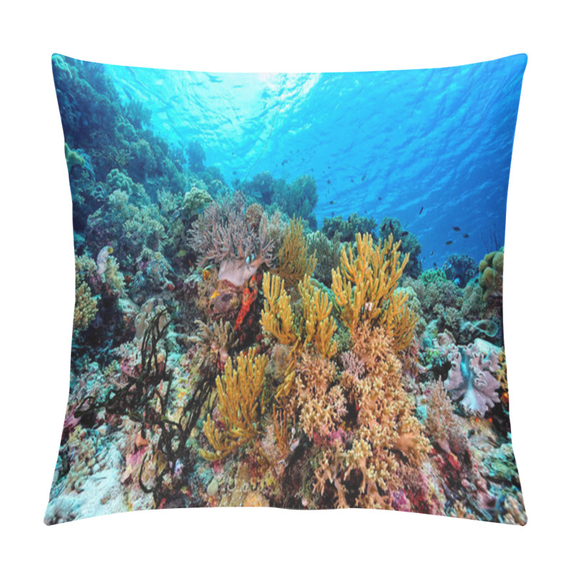 Personality  A Beautiful Picture Of An Healty Coral Reef Pillow Covers