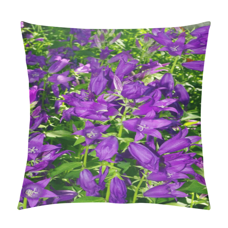 Personality  Campanula Bellflowers Floral Background Pillow Covers