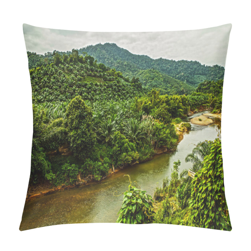 Personality   River In Jungle. Pillow Covers