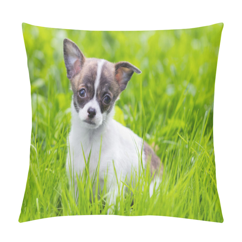 Personality  Puppy Chihuahua Pillow Covers