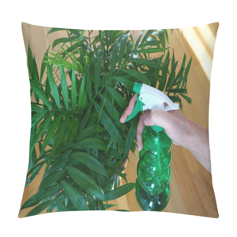 Personality  Plant Spraying And Houseplant Care. Houseplant Green Small Palm Trees Sprayed From A Green Plastic Bottle In A Woman's Hand. Houseplant Cultivation, Prevention Against Plant Pests, Bacterial Diseases, Fertilization And Gardening Like A Home Hobby Pillow Covers