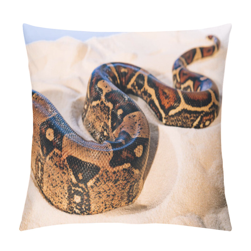 Personality  Selective Focus Of Pattern On Python Snakeskin On Sand On Blue Background Pillow Covers