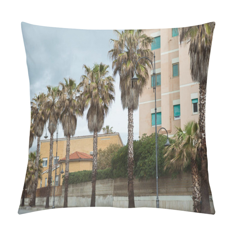 Personality  Row Of Palm Trees On Street Of European City, Anzio, Italy Pillow Covers