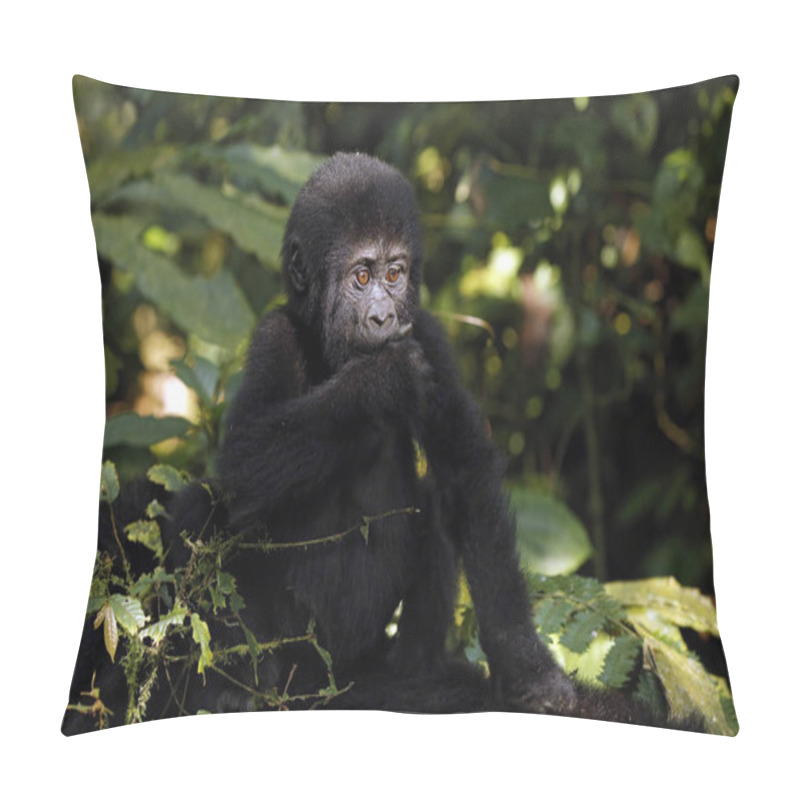 Personality  Baby Gorilla (Gorilla Beringei Beringei) Riding Mothers Back. Bwindi Impenetrable National Park, Uganda Pillow Covers