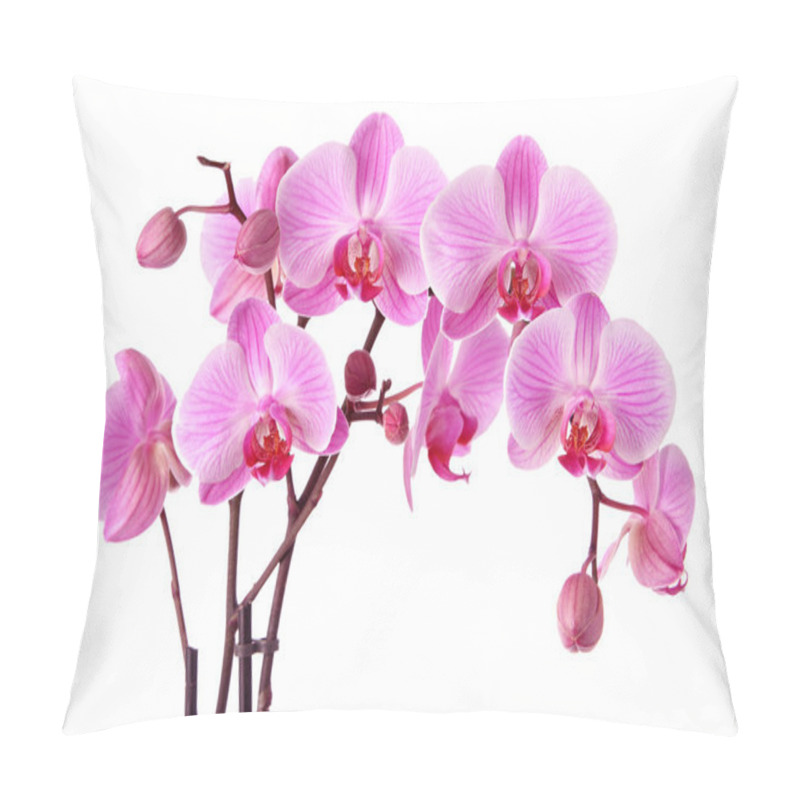 Personality  Purple Orchid Flowers Pillow Covers