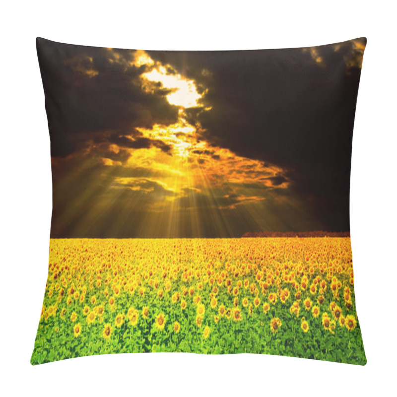 Personality  Sunflowers Field Under The Dramatic Skies. Beautiful Rural Scene Pillow Covers