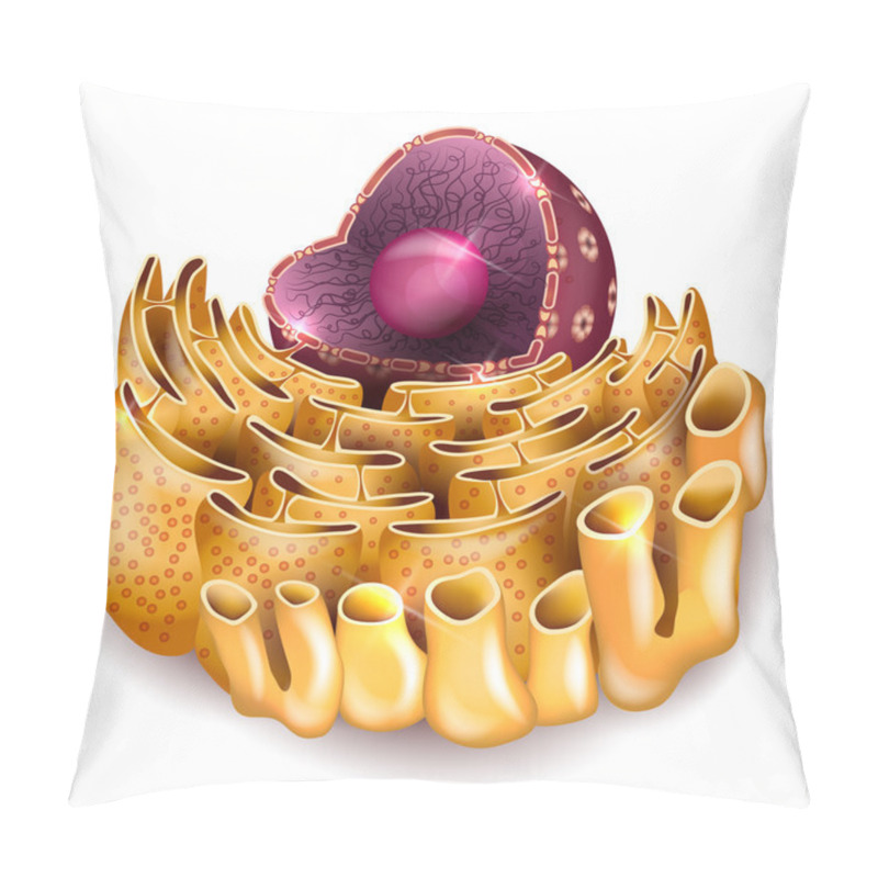 Personality  Cell Nucleus And Endoplasmic Reticulum Pillow Covers