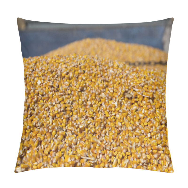 Personality  Freshly Harvested Grain Corn In A Grain Trailer During The Autumn Harvest. View From Atop A Corn Grains In Tractor Trailer After Harvest. Pillow Covers