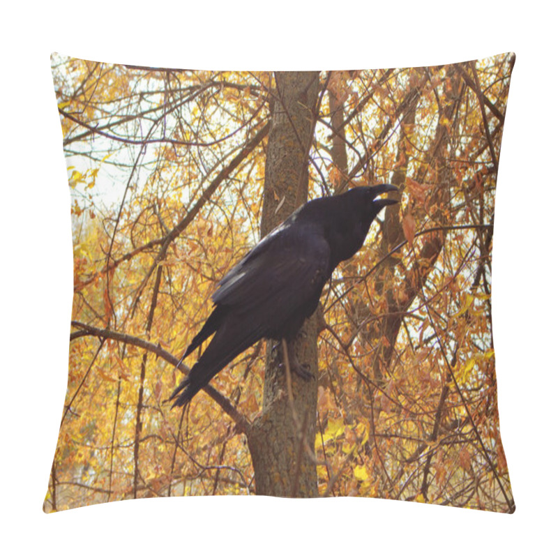 Personality  Raven Black  Wise Bird Pillow Covers