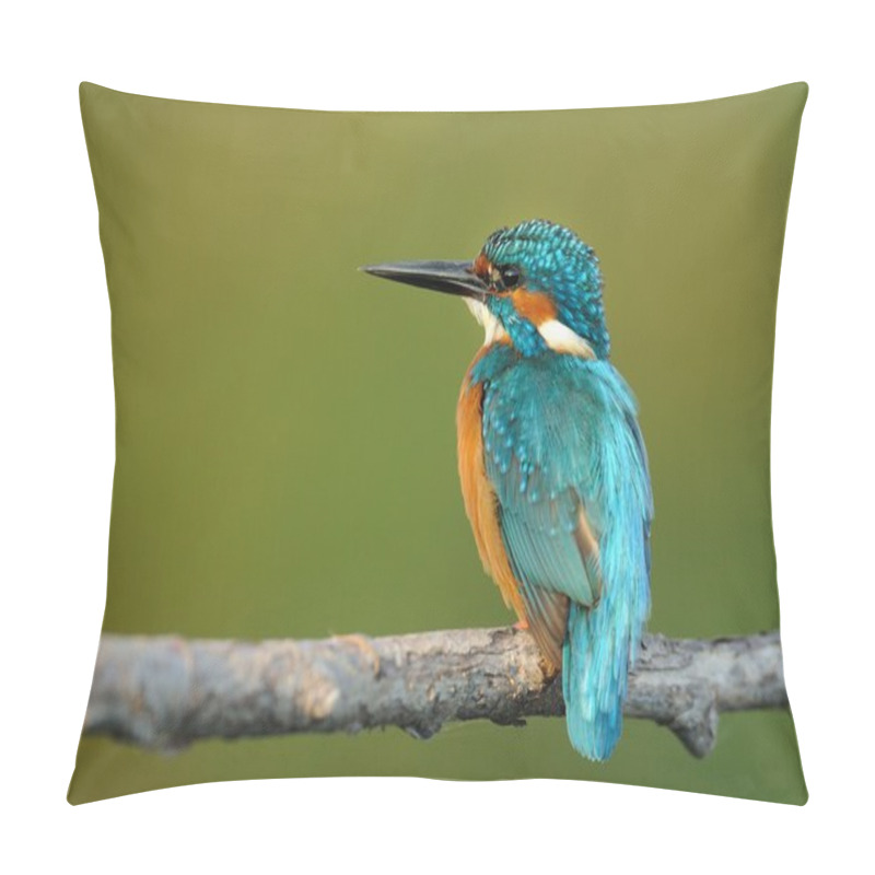 Personality  Kingfisher (Alcedo Atthis) Pillow Covers