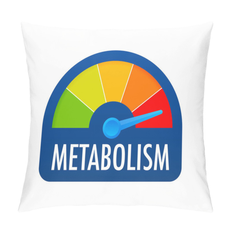 Personality  Metabolism Level Scale. Sign Tachometer, Speedometer, Indicators Vector Stock Illustration Pillow Covers