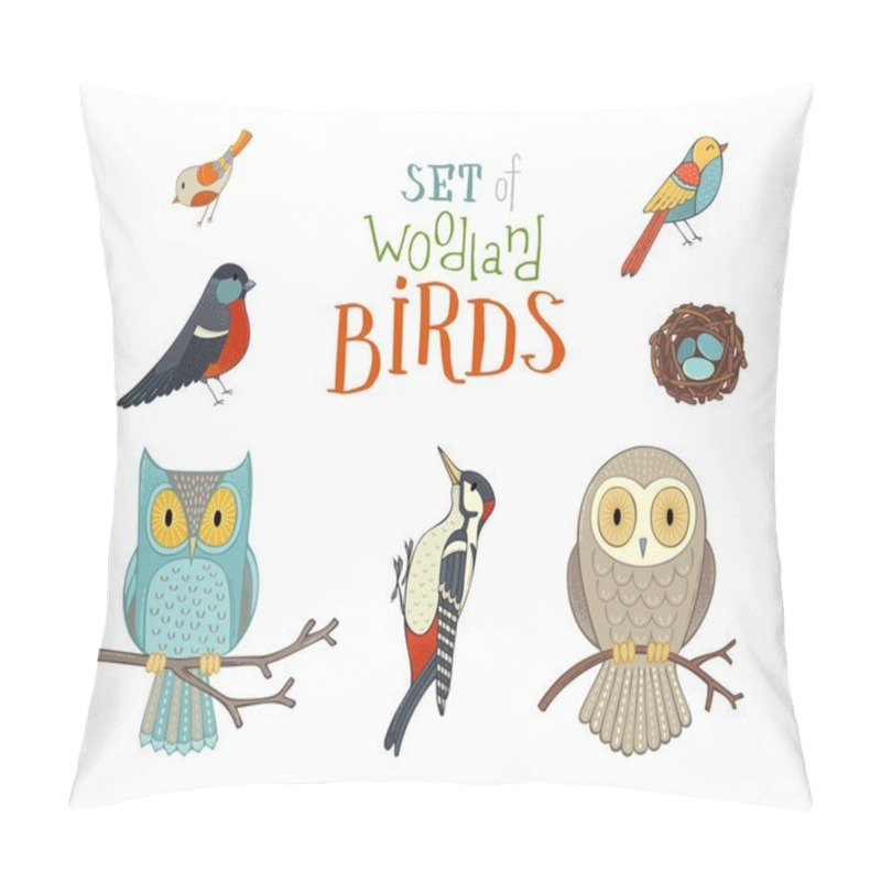 Personality  Set Of Woodland Birds In Cartoon Style. Pillow Covers