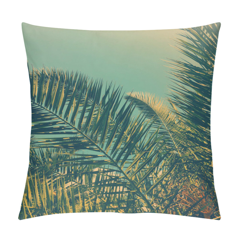 Personality  Palm Tree Leaves And The Sky, Summertime Travel Background Pillow Covers