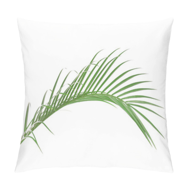 Personality  Beautiful Palm Leaf Isolated On White Pillow Covers