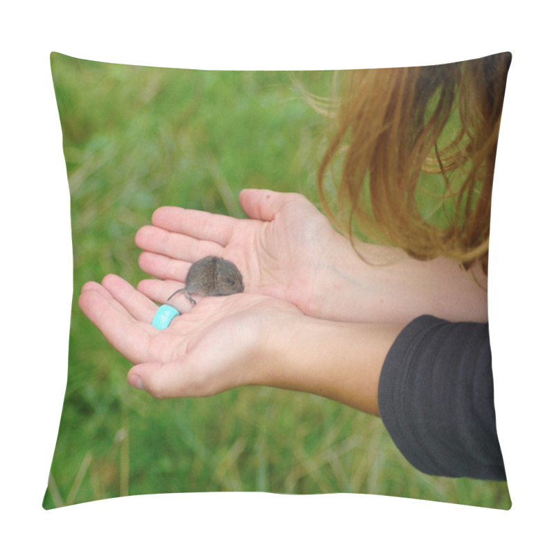 Personality  Field Mouse In My Hands Pillow Covers