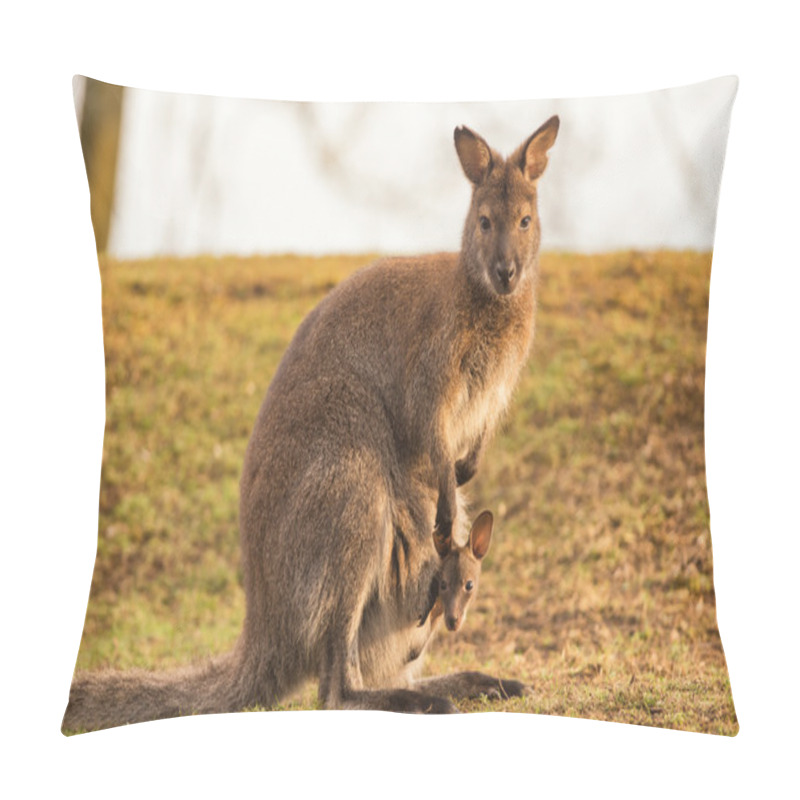 Personality  Kangaroo Mother With A Baby Pillow Covers