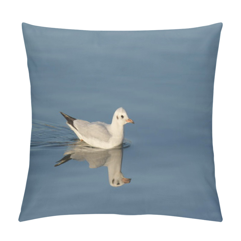 Personality  Black-headed Gull - (Chroicocephalus Ridibundus)  Pillow Covers