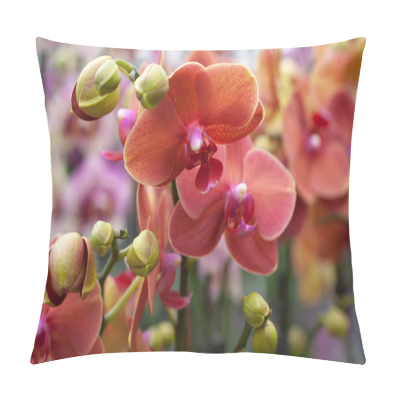 Personality  Coral Phalaenopsis Orchid Pillow Covers