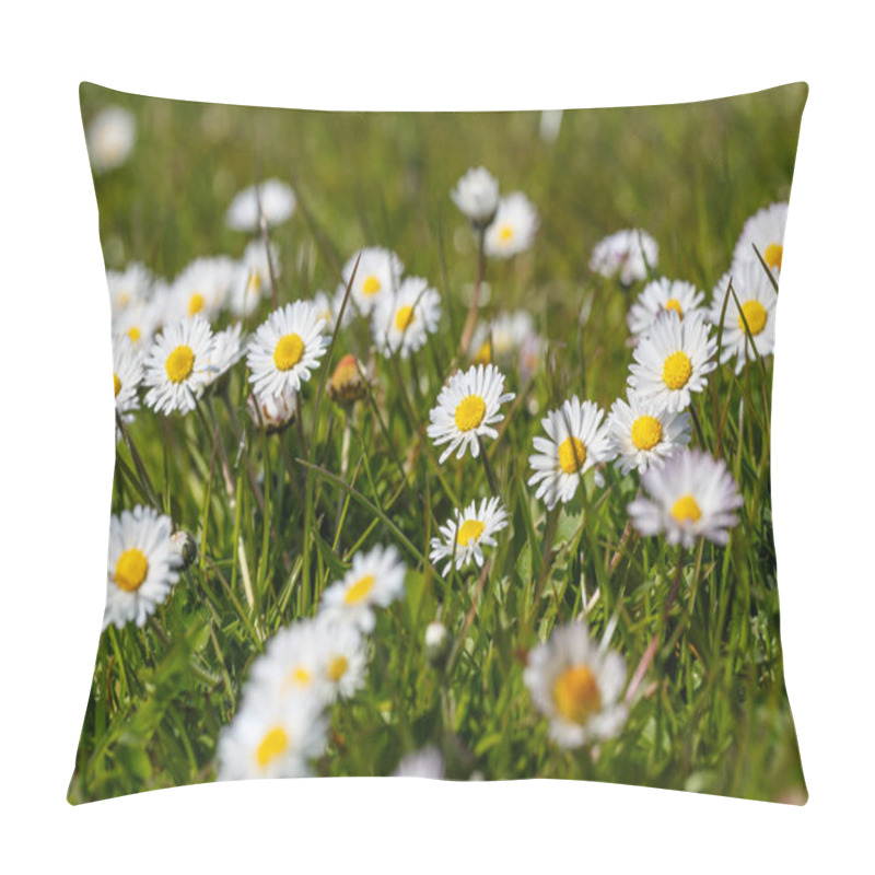 Personality  View Of Beautiful Green Meadow  Pillow Covers