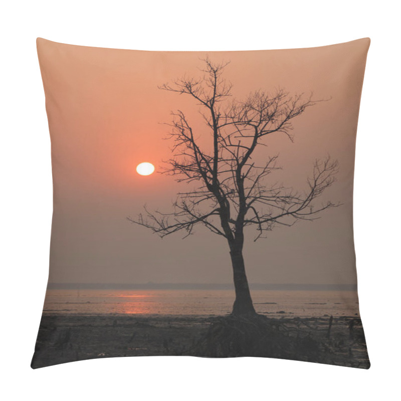 Personality  Sunset At Kotka Sea Beach.this Photo Was Taken From Sundarbans National Park,Bangladesh. Pillow Covers