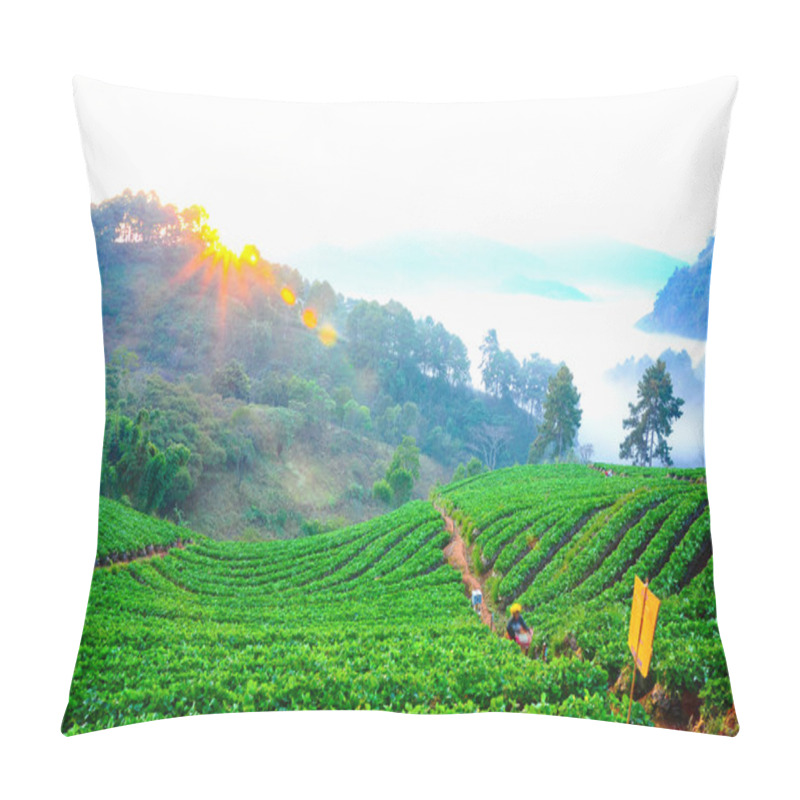 Personality  Morning At Beautiful Strawberries Farm At Doi Angkhang Mountain, Pillow Covers