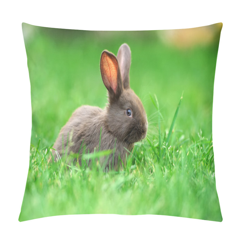 Personality  Little Rabbit In Grass Pillow Covers