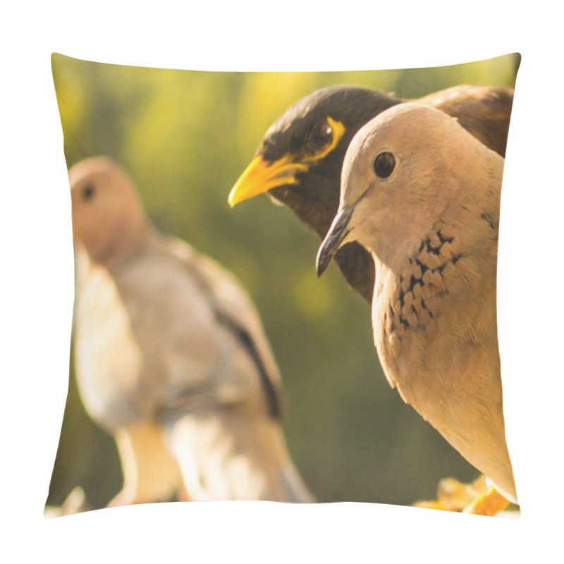 Personality  Streptopelia And Acridotherespeeping Pillow Covers