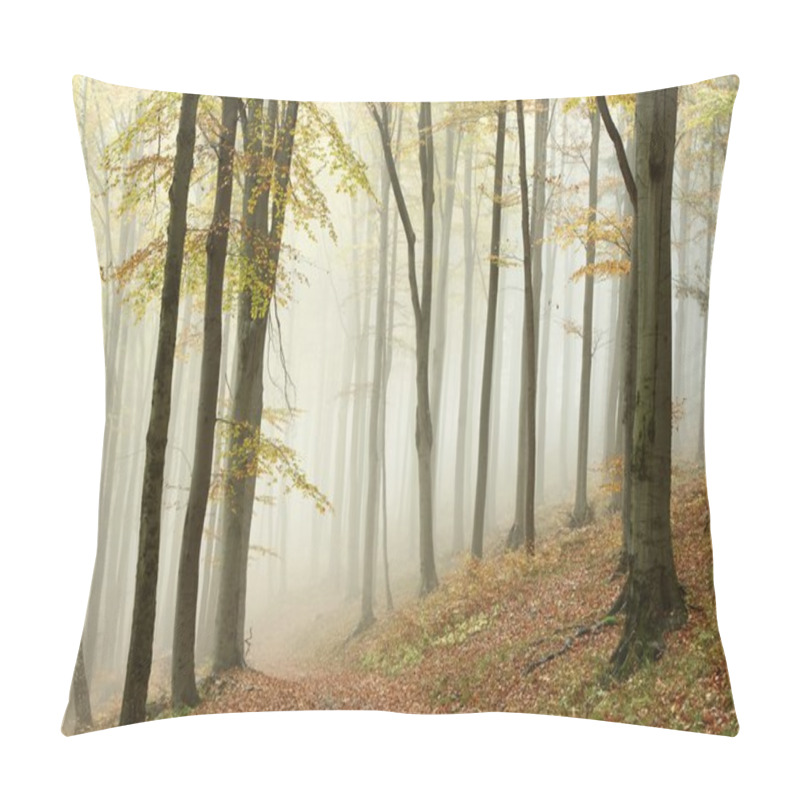 Personality  Misty Autumn Beech Forest Pillow Covers