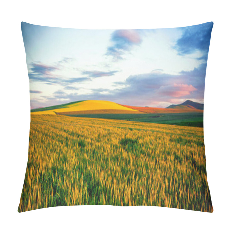 Personality  Scenic View Of Wheat Field  Pillow Covers