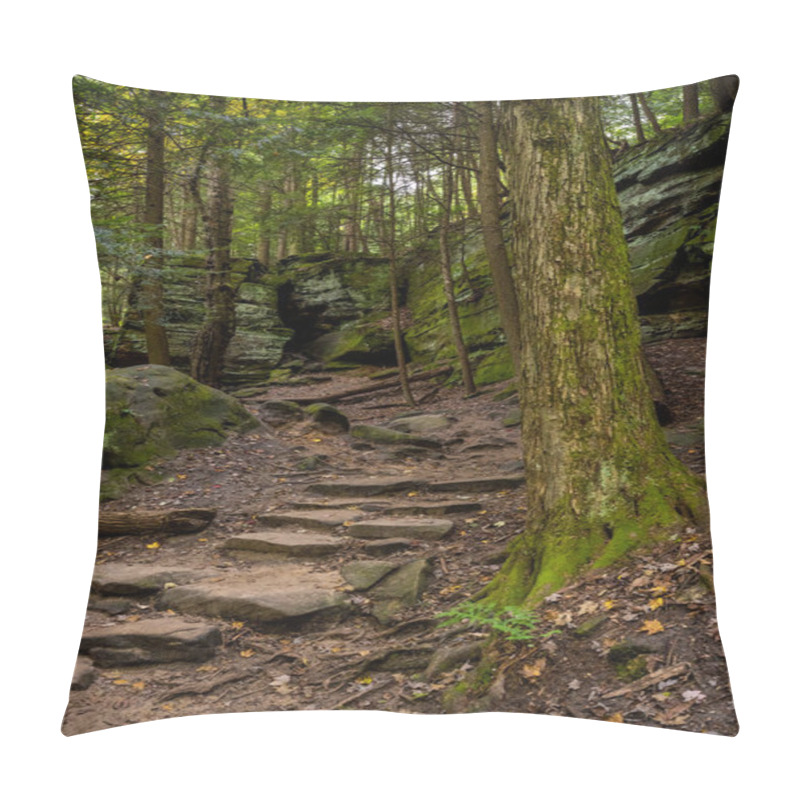 Personality  Stone Steps And Mossy Tree Trunk At The Ledges In Cuyahoga Valley National Park Pillow Covers