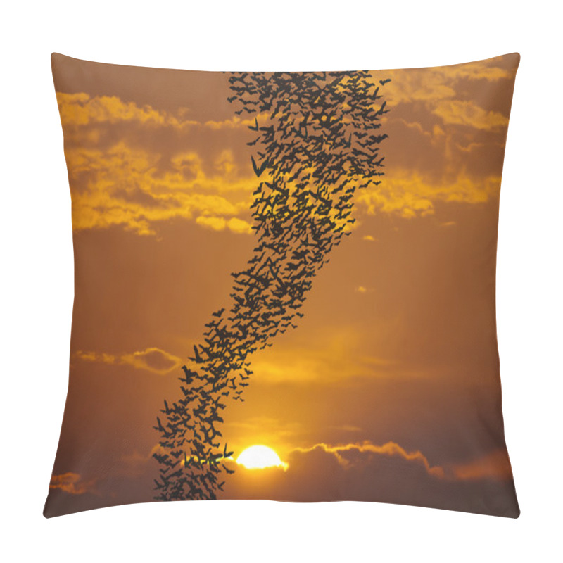 Personality  Bats Flying Againt Sun Pillow Covers