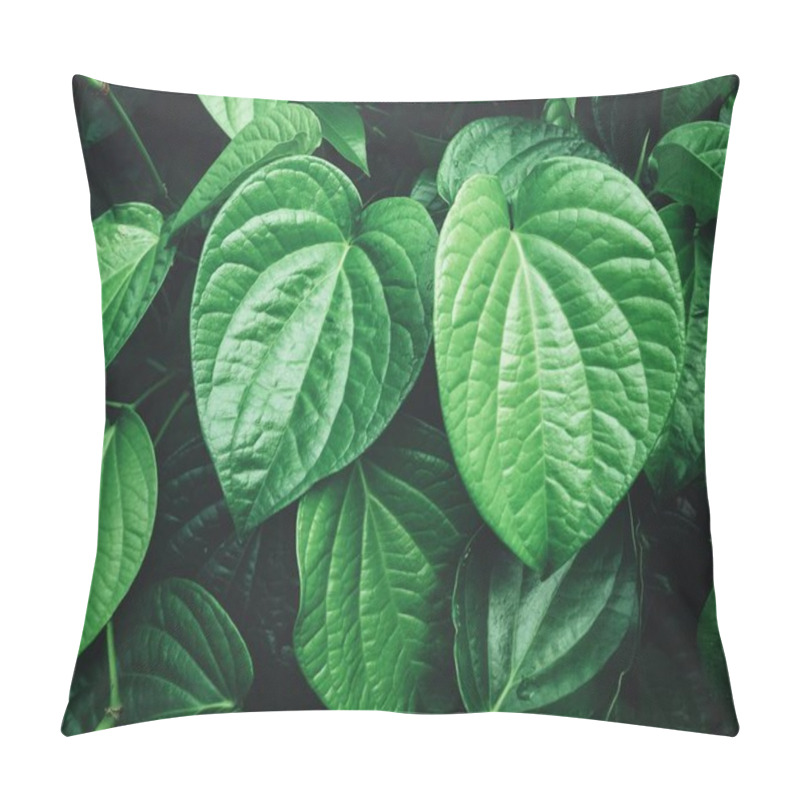 Personality  Fresh Green Betel Leaves Textured Background Pillow Covers