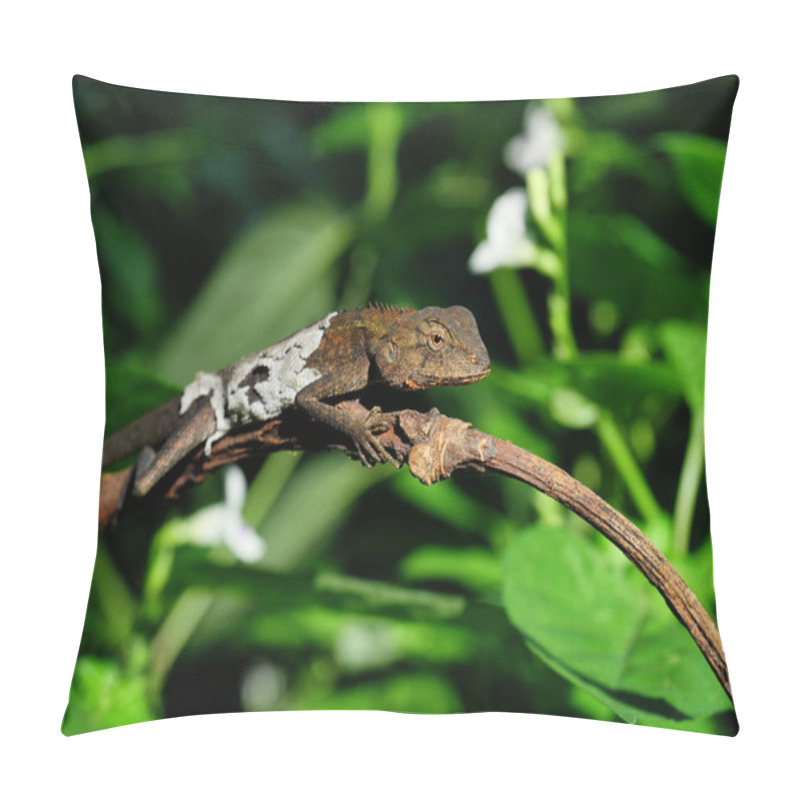 Personality  Closeup Molting Oriental Garden Or Eastern Garden Or Changeable Lizard With  Natural Green Leaves In The Background Pillow Covers