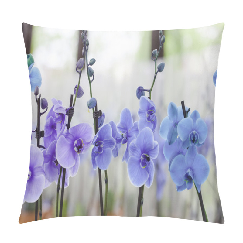 Personality  Beautiful Blue Orchids Pillow Covers