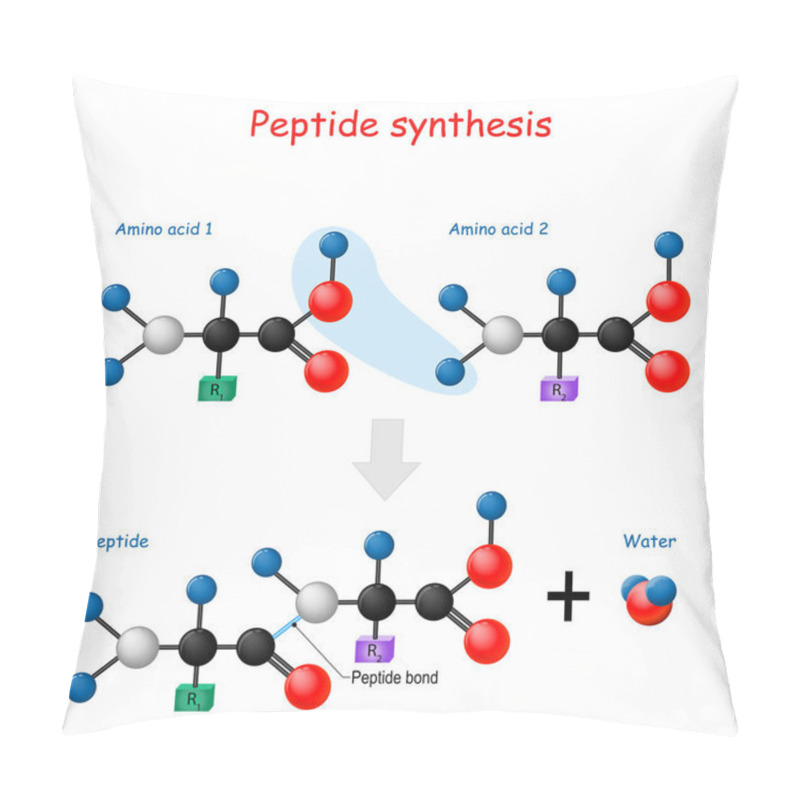 Personality  Peptide Synthesis. Pillow Covers