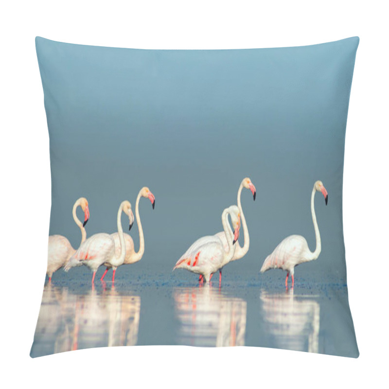 Personality  Wild African Birds. Group Birds Of Pink African Flamingos  Walking Around The Blue Lagoon On A Sunny Day. Namibia Pillow Covers