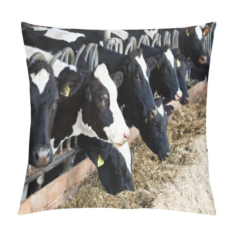 Personality  Dairy Cows In A Farm. Pillow Covers