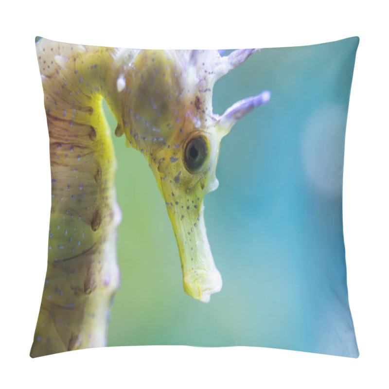 Personality  Hippocampus Guttulatus - Long-Snouted Seahorse- Spiny Seahorse - Syngnathidae Pillow Covers