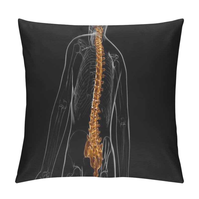 Personality  Human Skeleton Vertebral Column Vertebrae Anatomy 3D Illustration Pillow Covers