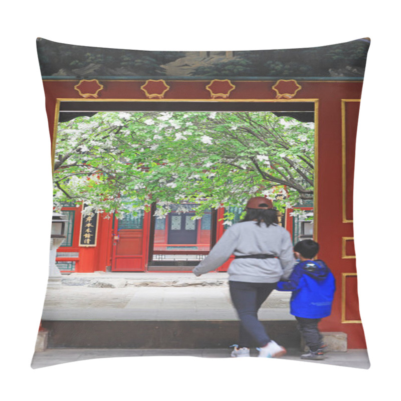 Personality  Chinese Classical Architectural Scenery, Beijing Pillow Covers