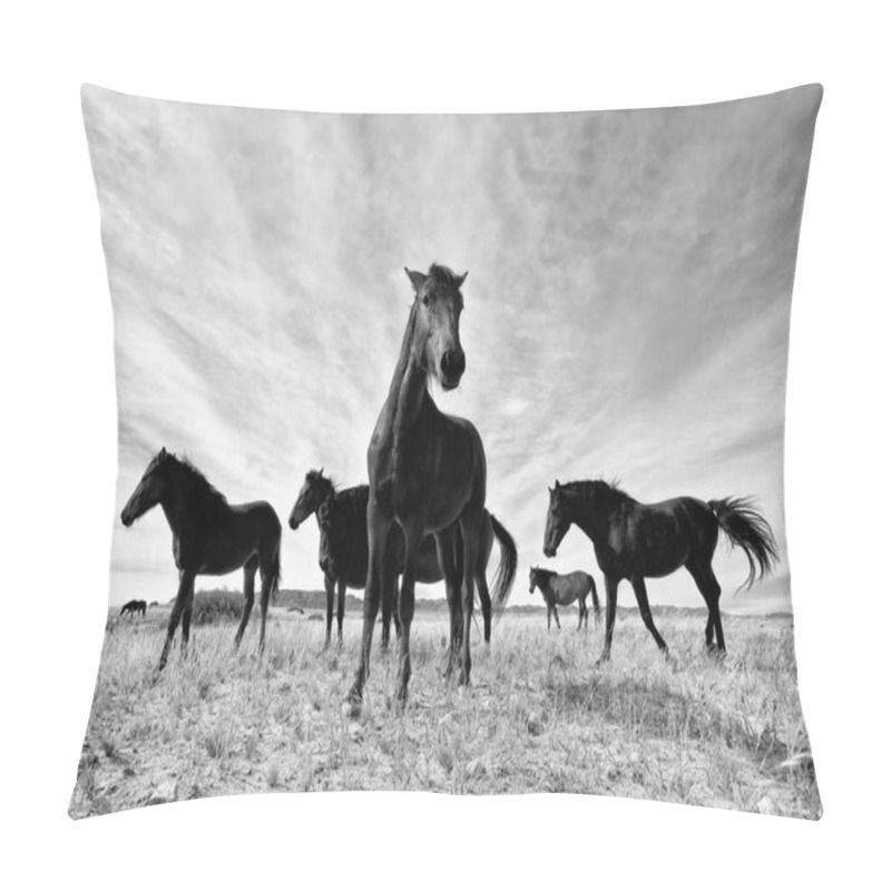 Personality  Wild Horses Pillow Covers