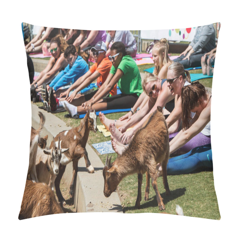 Personality  Suwanee, GA, USA - April 29, 2018:  Goats Walk Along A Curb In Front Of People Stretching In A Free Goat Yoga Event At Suwanee Towne Park On April 29, 2018 In Suwanee, GA.  Pillow Covers