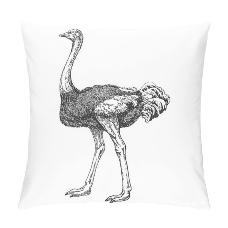 Personality  Zoo. African Fauna. Bird, Ostrich, Camel-bird. Hand Drawn Illustration For Tattoo Design, Emblem, Badge, T-shirt Print. Engraving Of Wild Animal. Classic Vintage Style Image. Pillow Covers