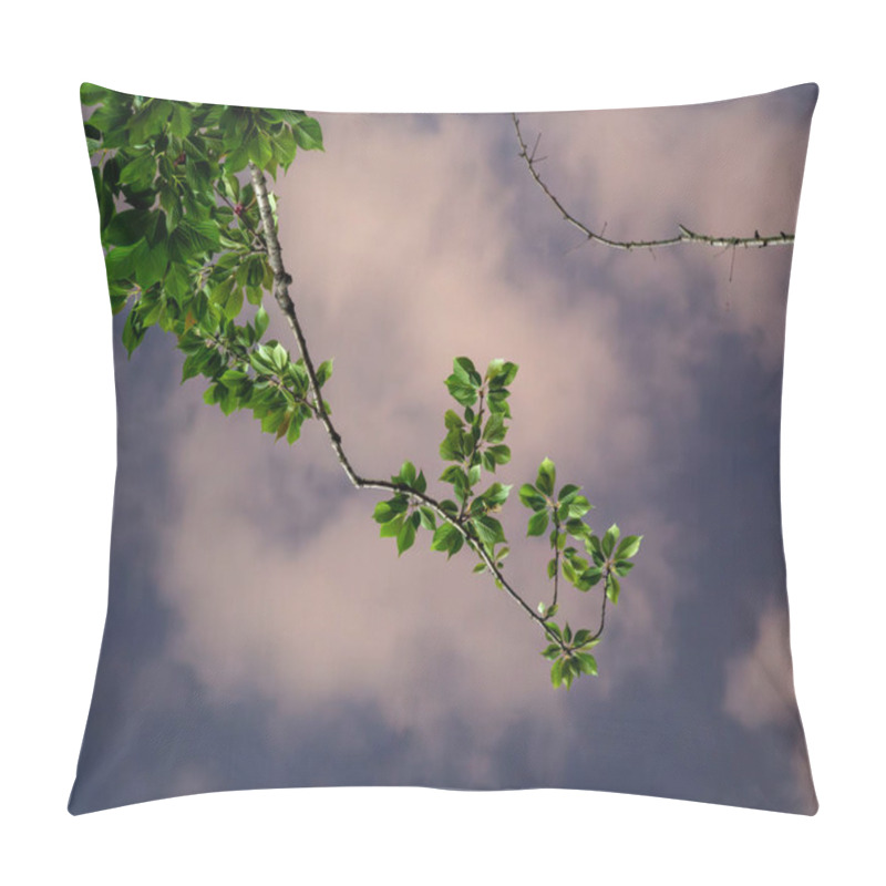 Personality  Close Up Of Branches Lit By Street Lampen Against Dark Cloudy Sky Pillow Covers