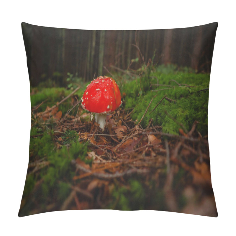 Personality  Ukrainian Carpathian Mountains. Mushrooms In The Forest. Macro Photography Of A Toadstool. Pillow Covers