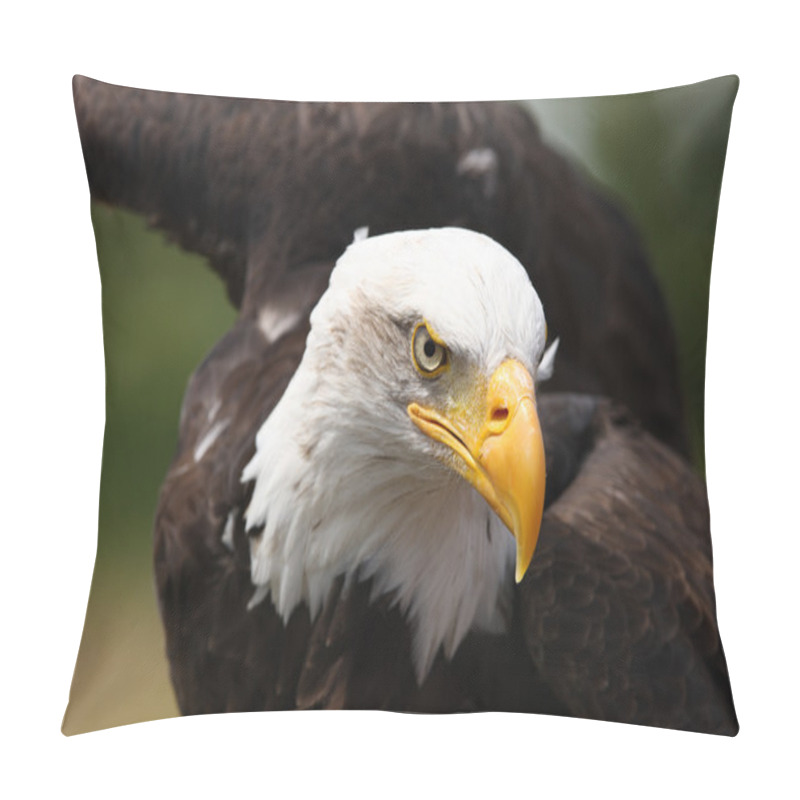 Personality  Bald Eagle In Flight Pillow Covers