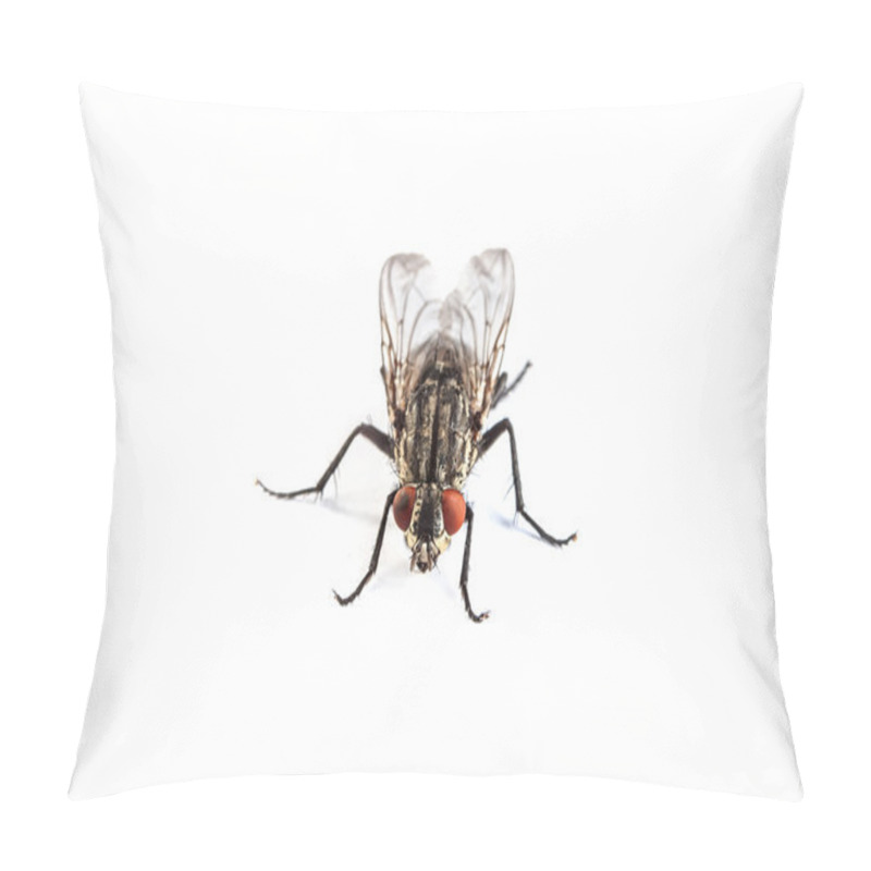 Personality  Housefly Isolated On White Pillow Covers