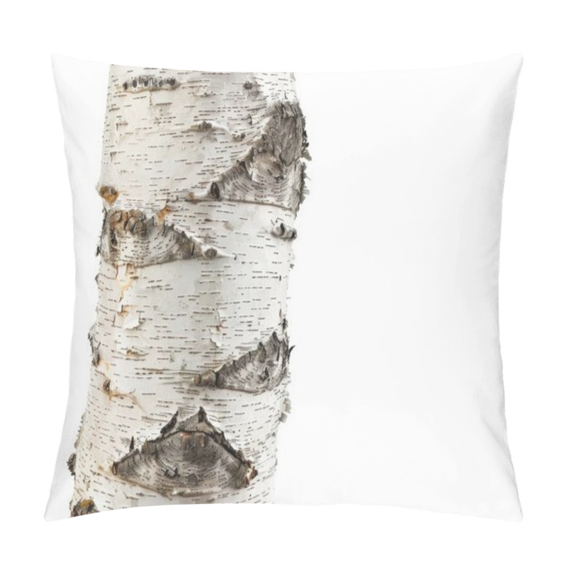 Personality  Close-up Of A White Birch Tree Trunk Showcasing Its Unique Bark Texture And Patterns. Pillow Covers